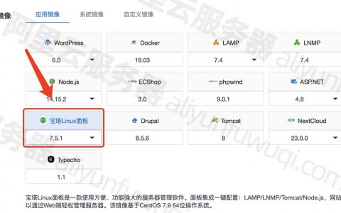 阿里云ECS服务器安装宝塔Linux面板教程（图文详细步骤）