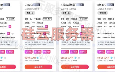 2024硅云香港服务器优惠价格表和香港cn2性能测评